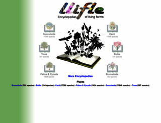 llifle.com screenshot