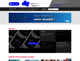 loiret.cci.fr screenshot