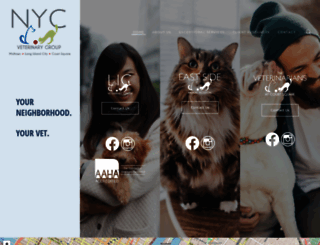 longislandcityvet.com screenshot