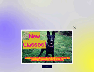 longsnouts.com screenshot