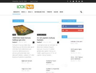 lookhub.net screenshot
