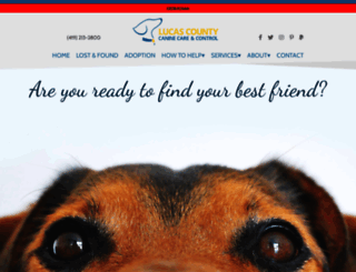 lucascountydogs.com screenshot