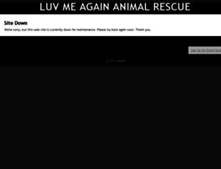 luvmeagain.rescuegroups.org screenshot
