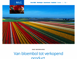 m-g.nl screenshot