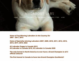 madaboutlabs.com screenshot