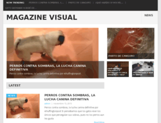 magazinevisual.com screenshot