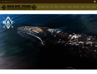 magbaytours.com screenshot