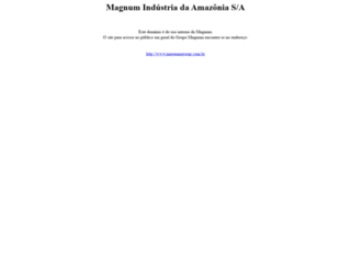 magnumsa.com.br screenshot