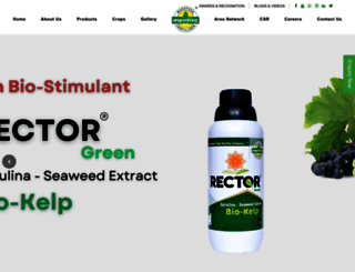 mahafeedwsf.net screenshot