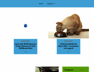 makeupexp.com screenshot