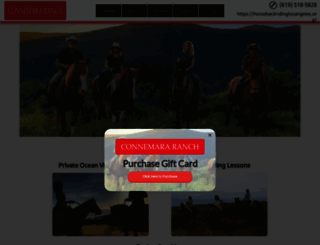 malibuhorseridinglessons.com screenshot