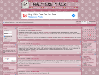 maltesetalk.com screenshot