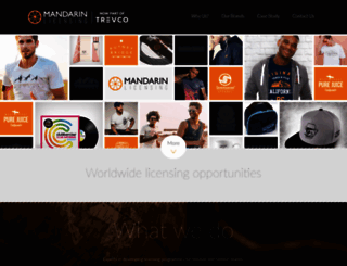 mandarinlicensing.com screenshot