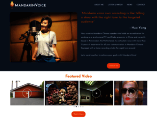 mandarinvoice.com screenshot