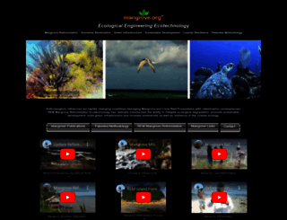 mangrove.org screenshot