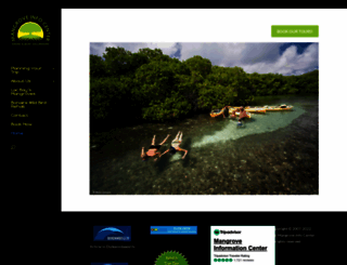 mangrovecenter.com screenshot