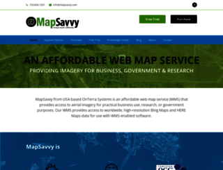mapsavvy.com screenshot