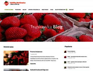 markiewicz.com.pl screenshot