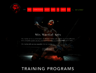 martialart-warriors.in screenshot