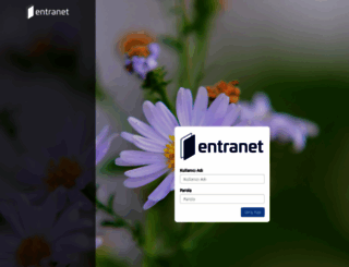 martisan.entra.net screenshot