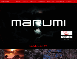 marumi-filter.co.jp screenshot