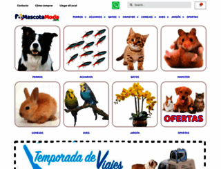 mascotamoda.com screenshot