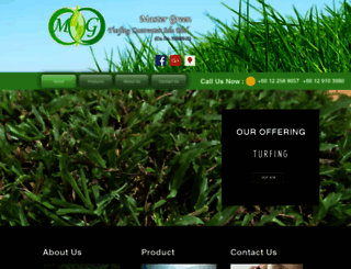 mastergreenturfing.com screenshot
