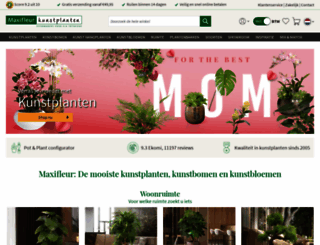 maxifleur-kunstplanten.nl screenshot
