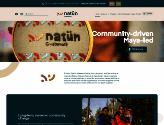 mayanfamilies.org screenshot