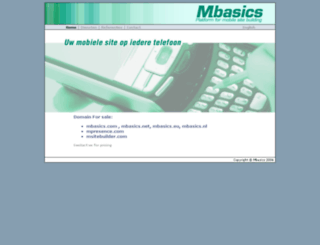 mbasics.nl screenshot