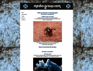 media-group.com screenshot