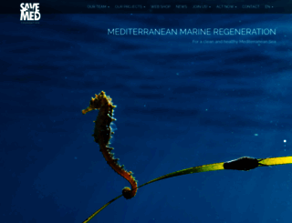 medwinds.com screenshot