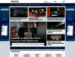 medyaurfa.com screenshot