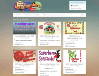 meetminders.com screenshot