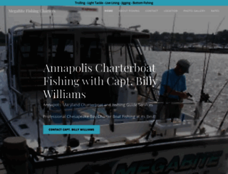 megabitefishing.com screenshot