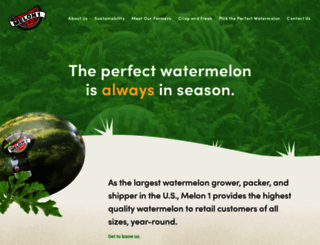 melon1.com screenshot