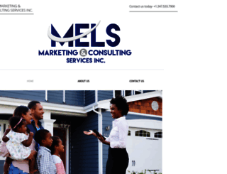 melsmarketing.com screenshot