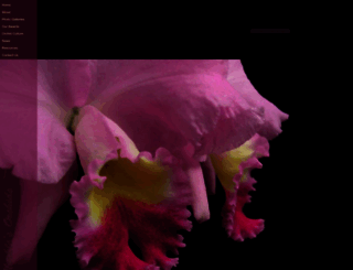 merklesorchids.com screenshot