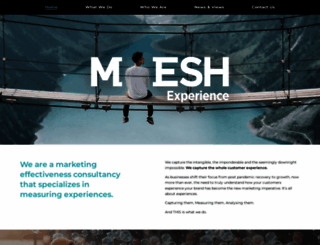 meshexperience.com screenshot