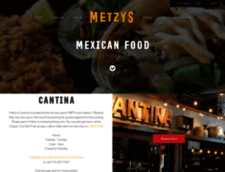 metzys.com screenshot