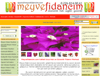 meyvefidancim.com screenshot