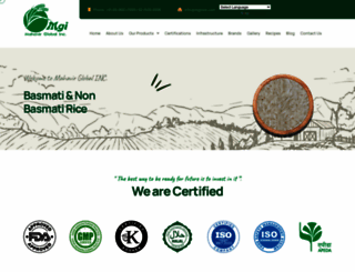 mgirice.com screenshot