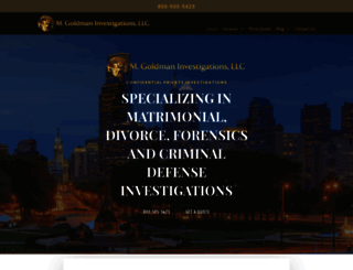 mgoldmaninvestigations.com screenshot