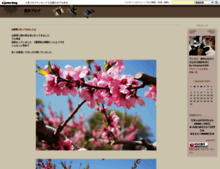 miapply.exblog.jp screenshot