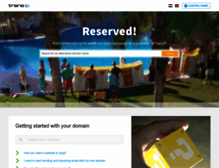 michelstevelmans.com screenshot