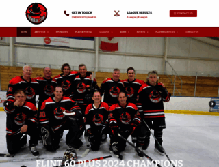 michigansting.net screenshot