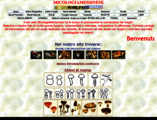 micologiamessinese.altervista.org screenshot