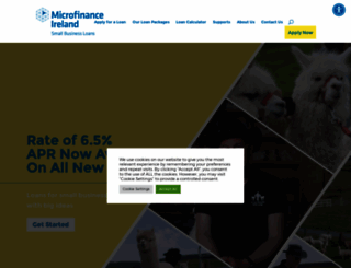 microfinanceireland.ie screenshot