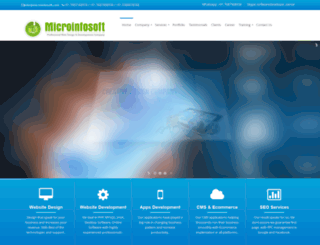 microinfosoft.com screenshot