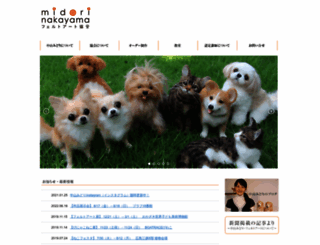 midorinakayama.com screenshot